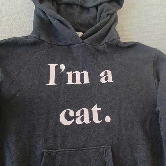 Wildfox Couture I m a Cat Hoodie Womens S Heather Gray Cat Ears Hood Lightweight - Picture 3 of 10